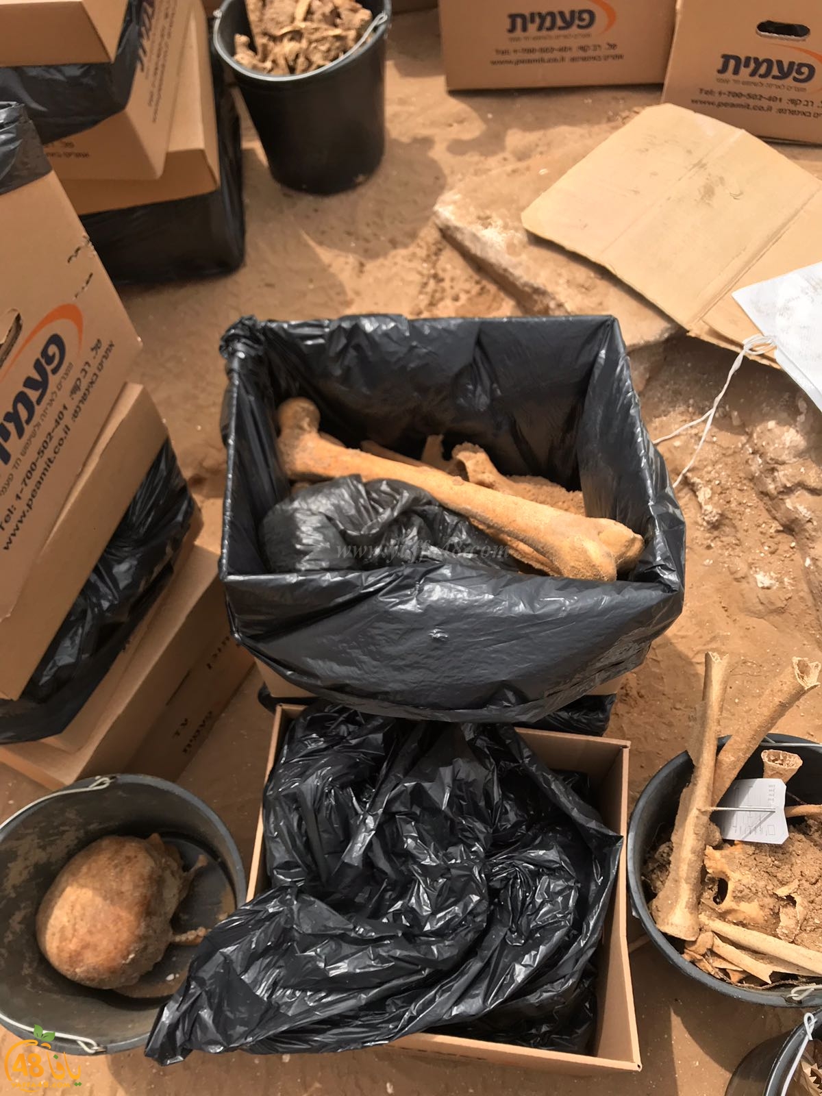 WhatsApp Image 2020-06-17 at 9.30.46 AM (1).jpeg.jpg.jpg